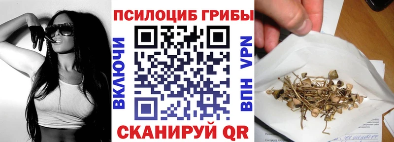 продажа наркотиков  Городовиковск  Псилоцибиновые грибы Psilocybe 