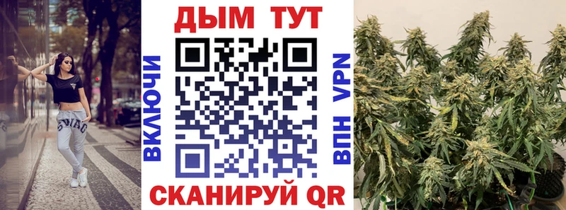 купить  цена  Городовиковск  Каннабис гибрид 